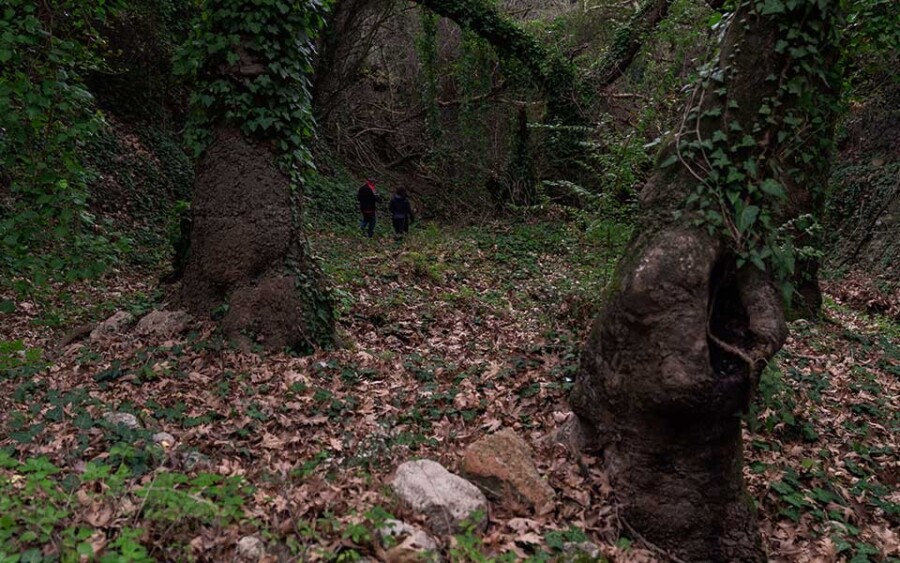 Explore Nature and History on a Hike to Talanta Village: A Hidden Gem near Monemvasia