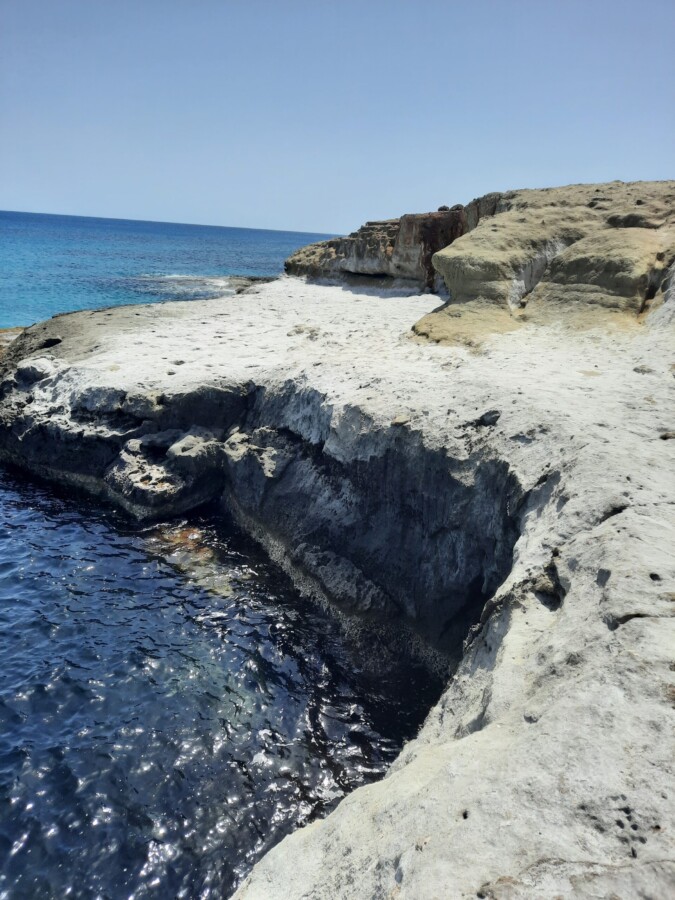 Experience the Petrified Forest of Monemvasia – A Journey Through Time