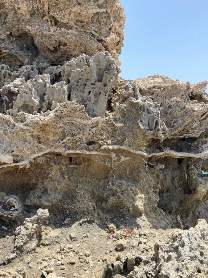 Experience the Petrified Forest of Monemvasia – A Journey Through Time